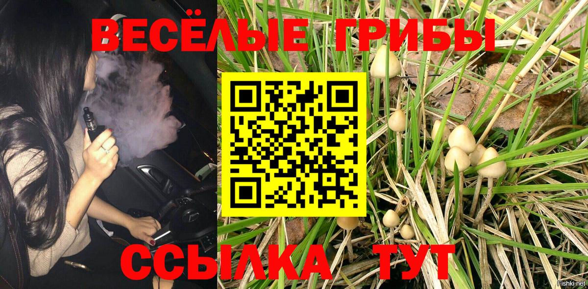Псилоцибиновые грибы ЛСД Лесозаводск