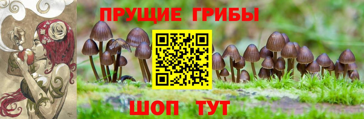 Псилоцибиновые грибы MAGIC MUSHROOMS  наркотики  Лесозаводск  Вход с VPN 